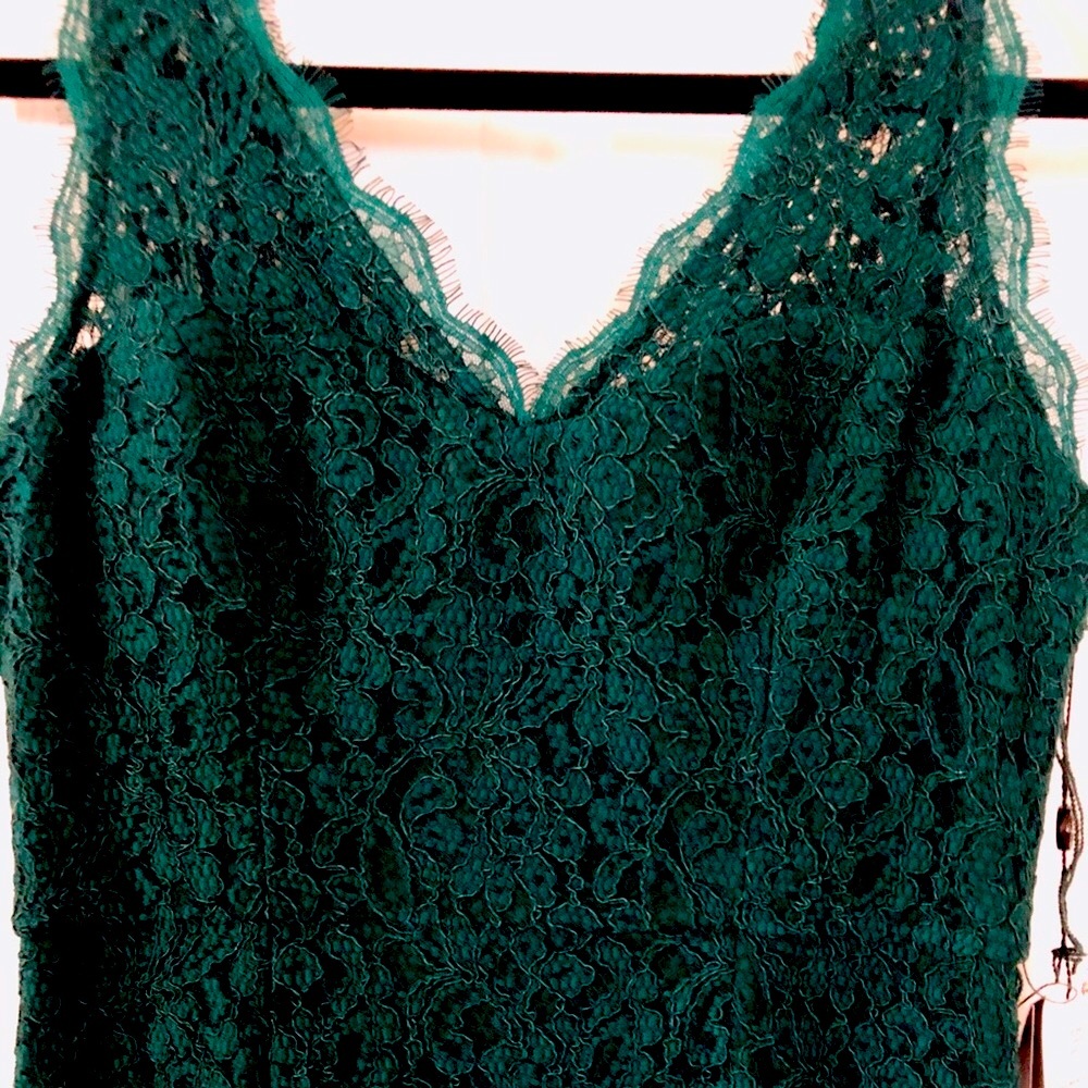 Adrianna Papell V-Neck Lace Dress - Picture 2 of 8